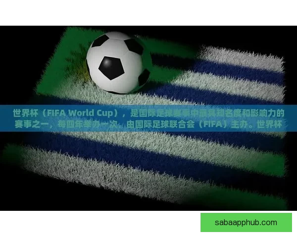 美洲三国联合主办世界杯足球盛会展望与影响分析